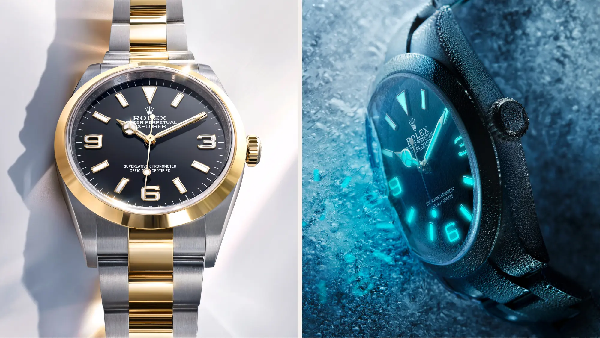 Rolex Explorer designed for exploration - Regency Watch