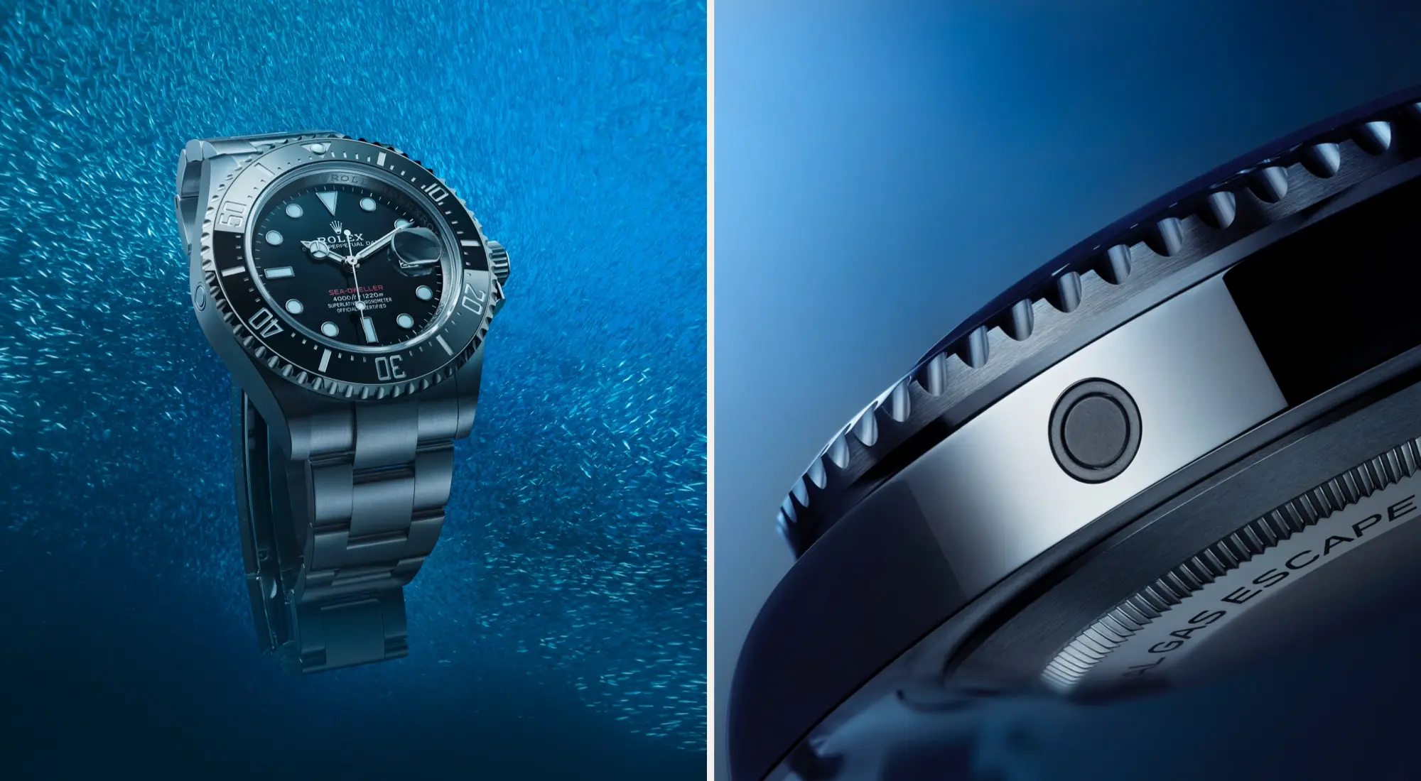 Rolex Sea-Dweller new face of diving - Regency Watch