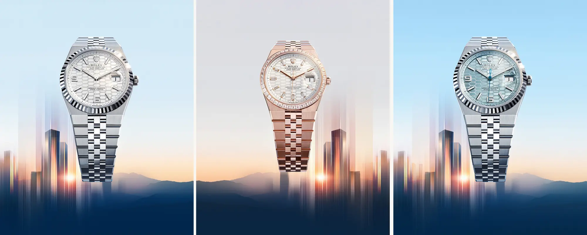 rolex Land-Dweller - Regency Watch