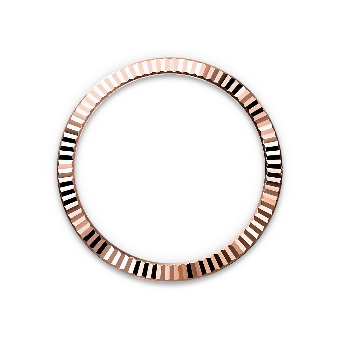 Rolex 
DATEJUST
Oyster, 41 mm, Oystersteel and Everose gold
M126331-0007