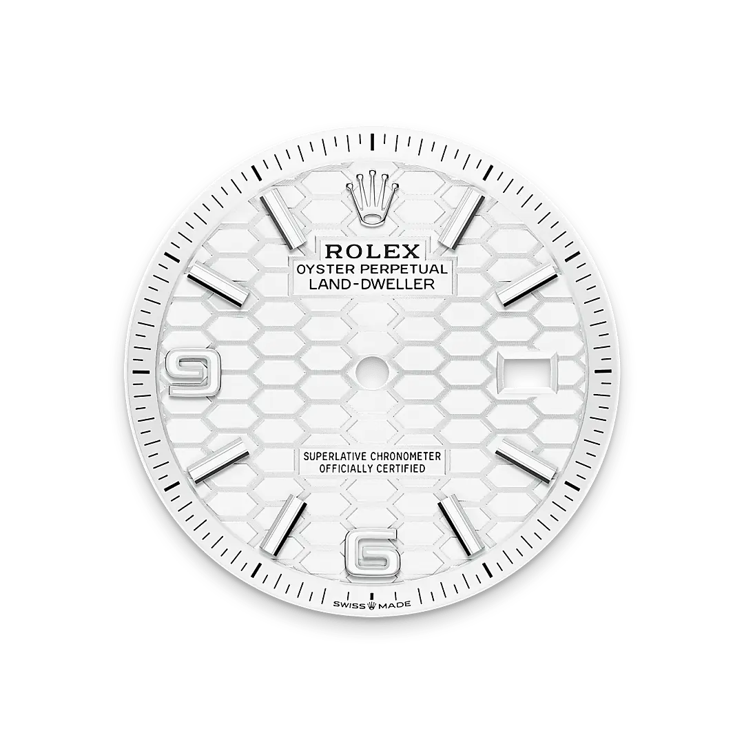 Rolex 
Land-Dweller 36
Oyster, 36 mm, Oystersteel and white gold
M127234-0001