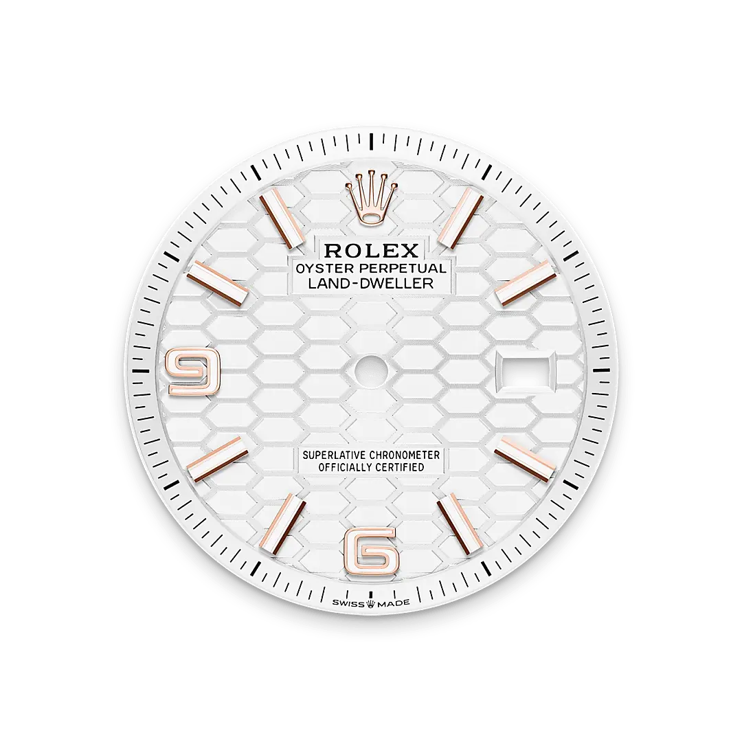 Rolex 
Land-Dweller 36
Oyster, 36 mm, Everose gold
M127235-0001