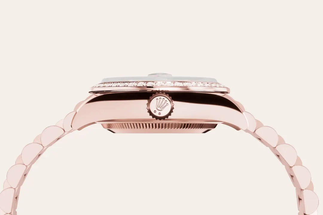 Rolex 
Oyster Perpetual 41
Oyster, 41 mm, Oystersteel
M134300-0006
