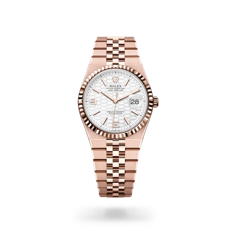rolex Land-Dweller - Regency Watch