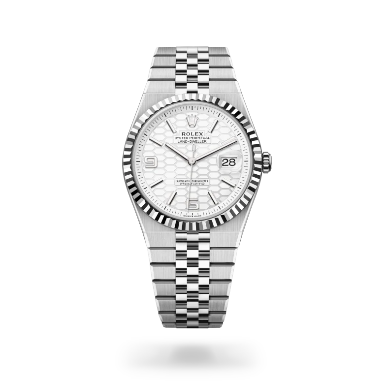 rolex Land-Dweller - Regency Watch