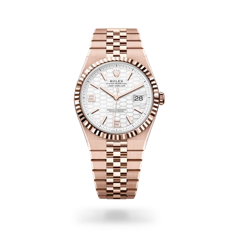 rolex Land-Dweller - Regency Watch