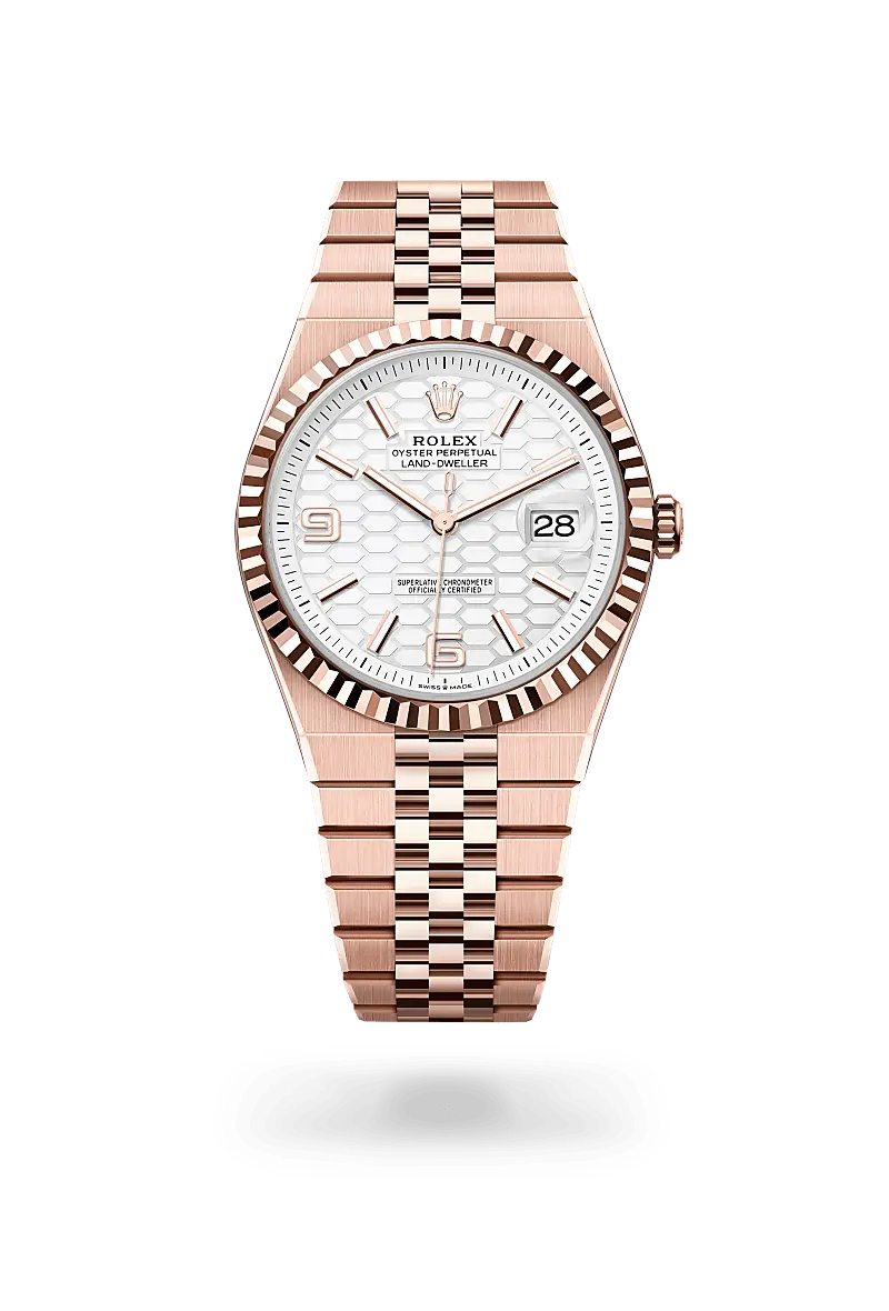 rolex Land-Dweller - Regency Watch